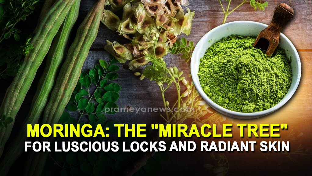 Moringa: The "Miracle Tree" for Luscious Locks and Radiant Skin