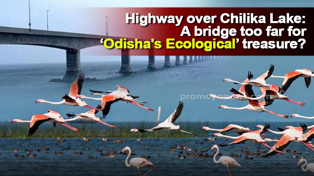 Highway over Chilika Lake: A bridge too far for ‘Odisha's Ecological’ treasure?