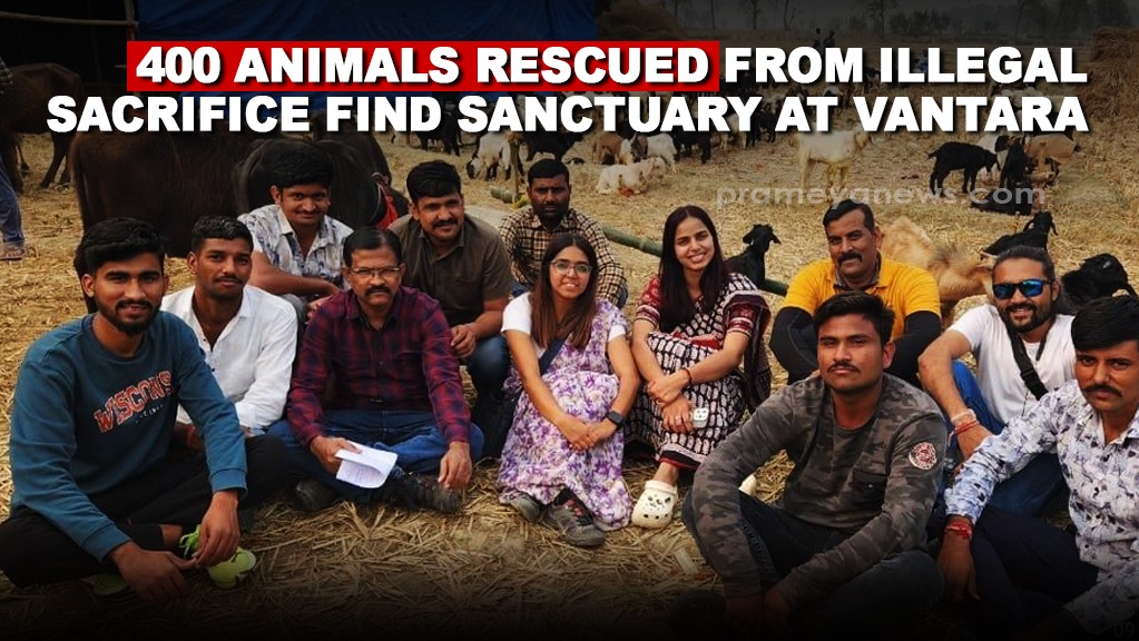 400 animals rescued from illegal sacrifice find ‘Sanctuary at Vantara’