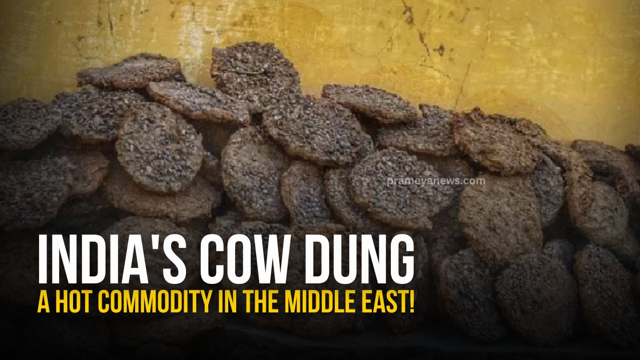 India's Cow Dung Export to Kuwait: A Surprising Trade Boom