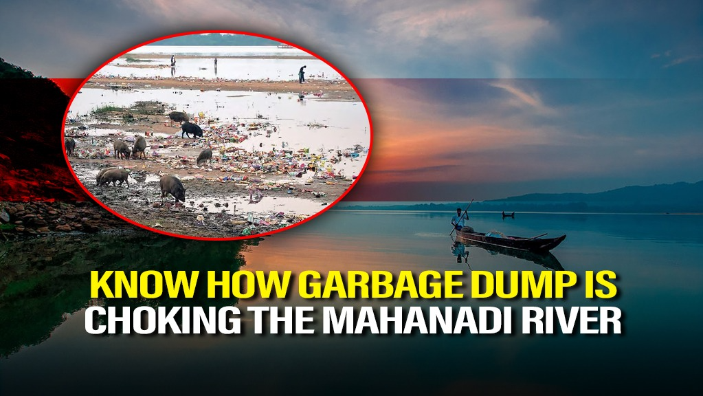 Know How River Mahanadi is getting choked by Garbage Dump