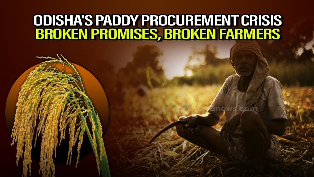 Odisha Farmers Face Paddy Market Crisis: Low Prices & Logistical Issues