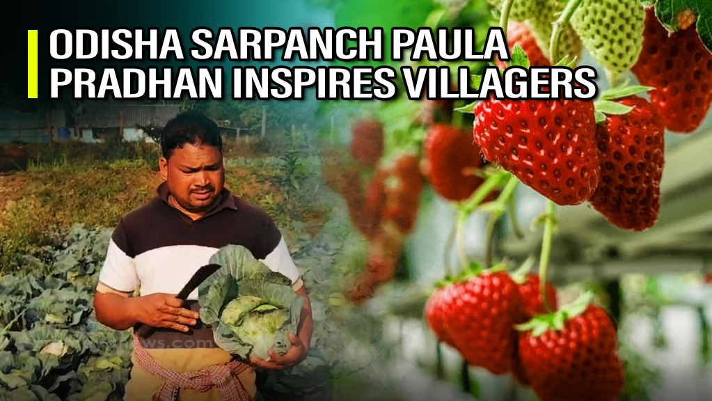 Odisha Sarpanch Paula Pradhan: Framer who reaps rich harvest and inspires villagers