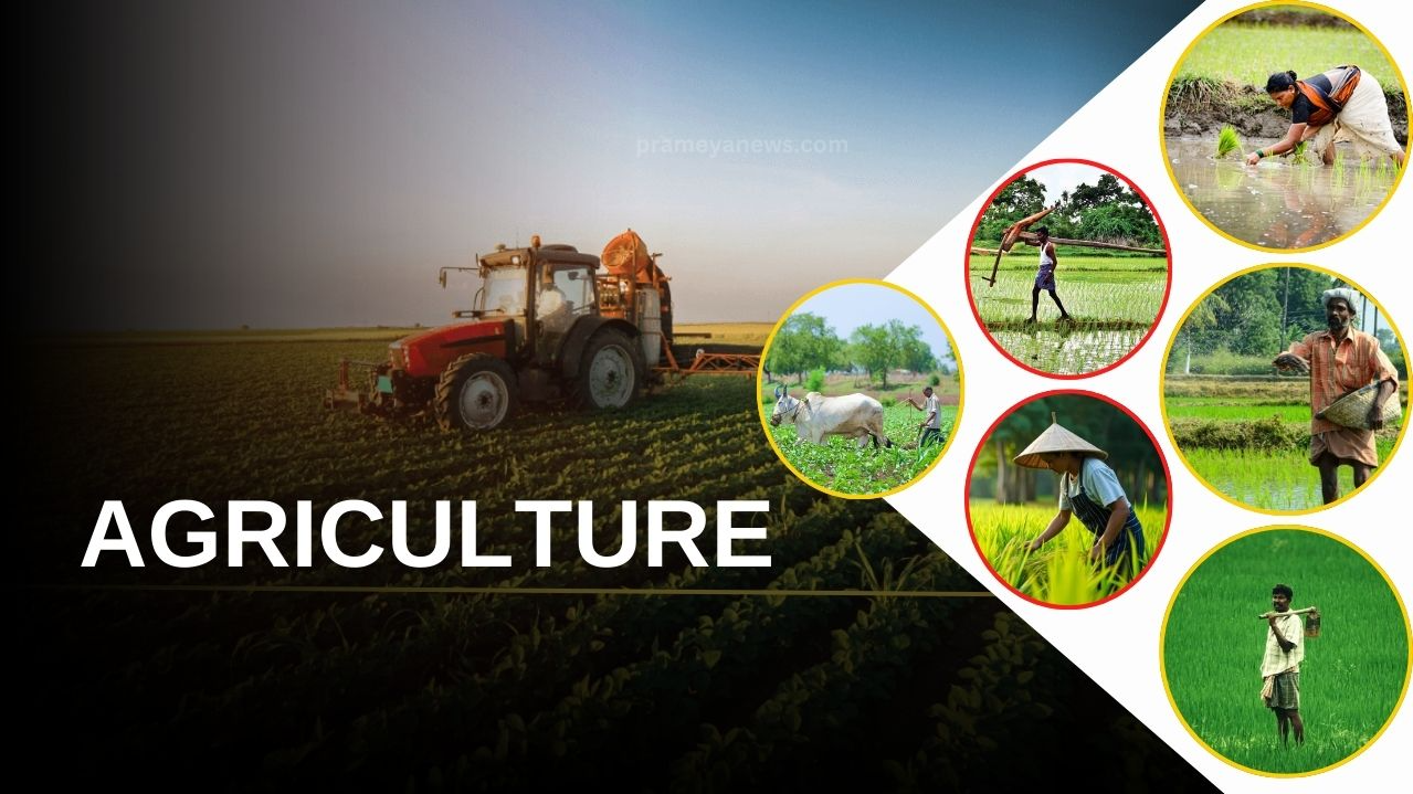 From Indian farms to Global Plates: India’s Agri-Exports are reaching the shores of Seven Sea’s