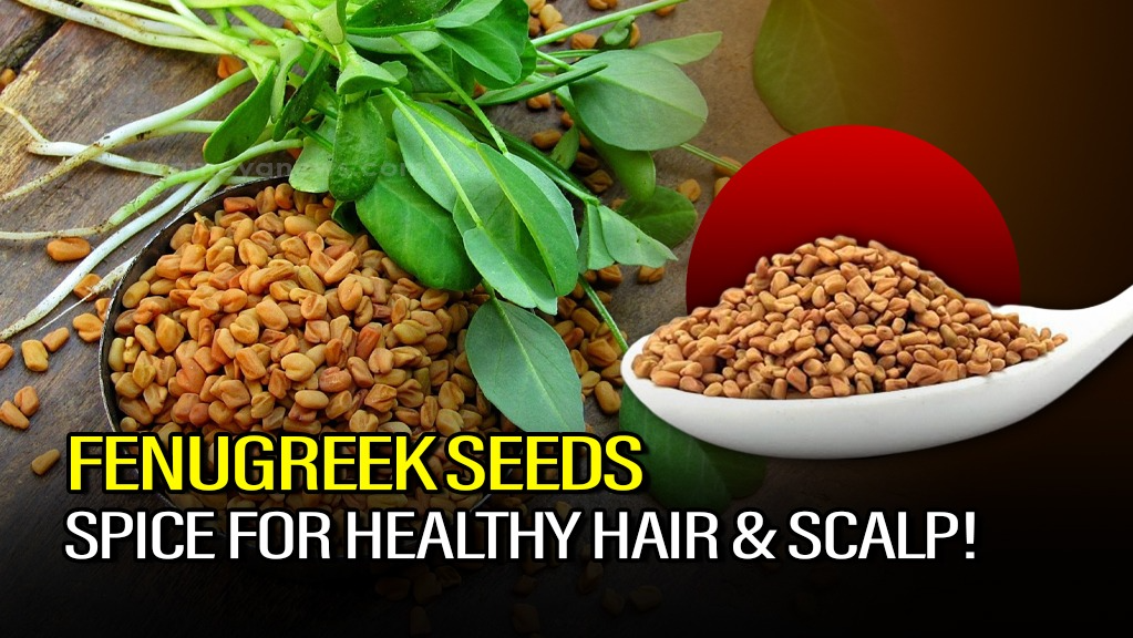 Fenugreek Seeds for Hair Growth & Healthy Scalp | Benefits & Uses