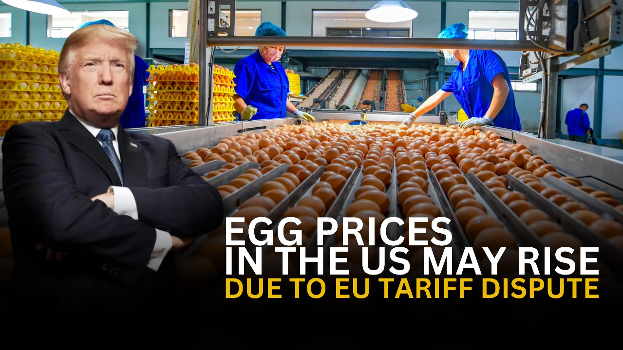 Why Breakfast Eggs Might Get Costlier on US Dining Tables Thanks to the Ongoing Tariff Tussle with the EU