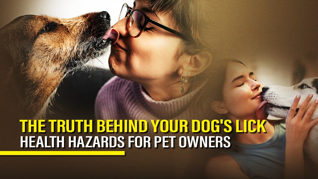 The Truth behind Your Dog's Lick: The Health Hazards pet owners should know about.