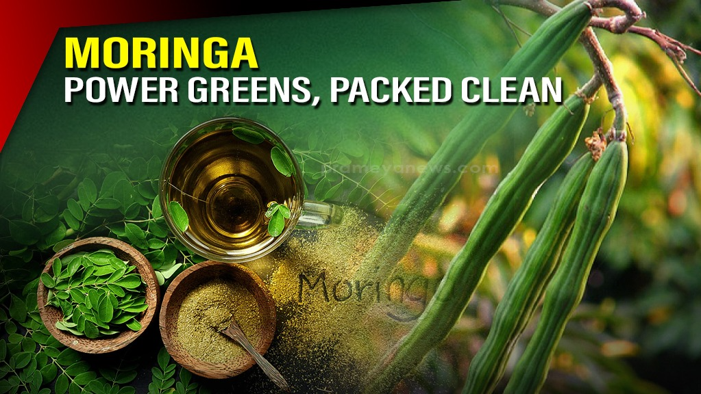 Moringa Benefits: Nature’s Superfood for Health