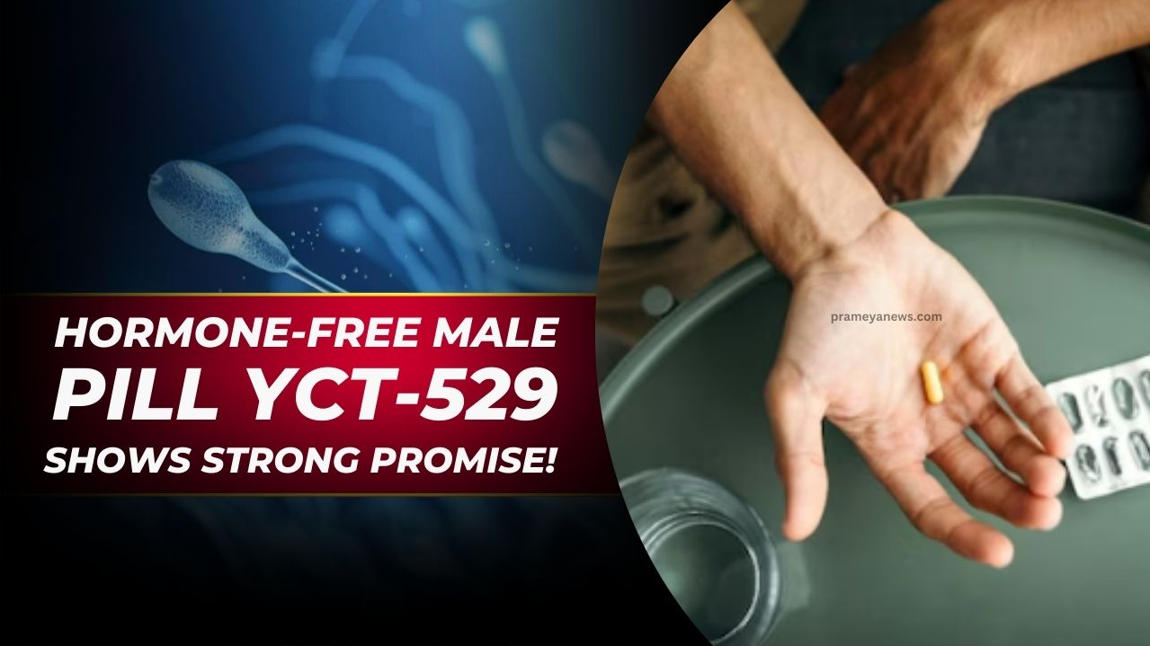 Hormone-Free Male Birth Control Pill YCT-529 Shows promising results