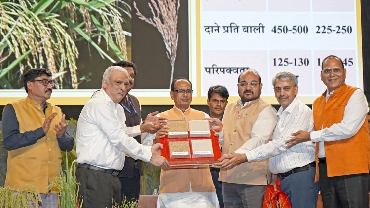 India Launches World's First Gene-Edited Rice