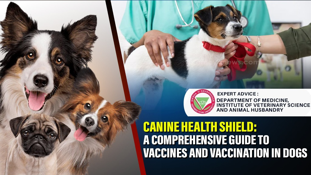 Canine Health Shield: A Comprehensive Guide to Vaccines and Vaccination in Dogs