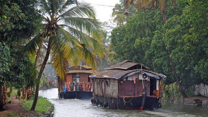 Earliest Monsoon in 16 Years Hits Kerala