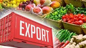 India's Agri-Exports on a Positive Path: Sector Grows 6.47% to $51.91 Billion in FY25, Rice Shipments Cross Rs 1 Lakh Crore
