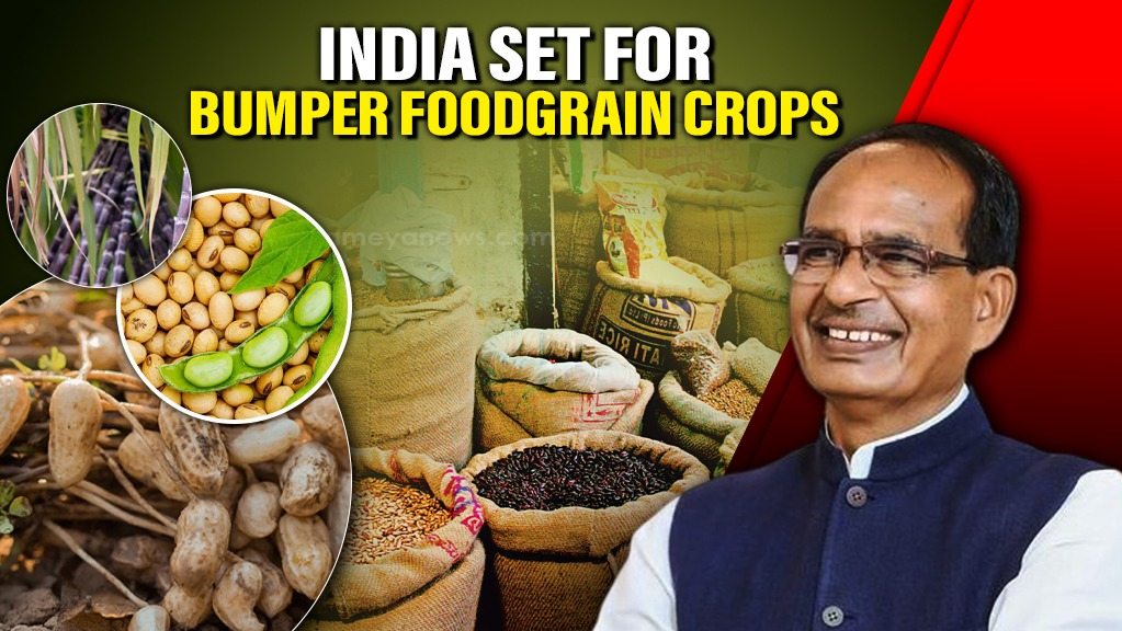 India’s 2024-25 Foodgrain Boom: Soybean & Groundnut Record, Cotton Declines
