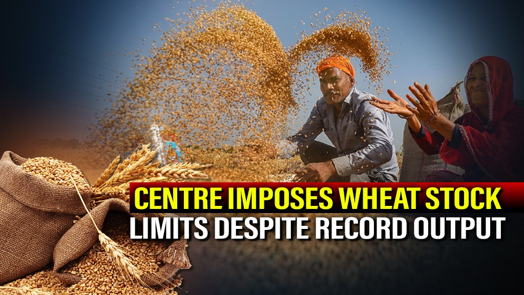 India Reimposes Wheat Stock Limits Despite Record Harvest