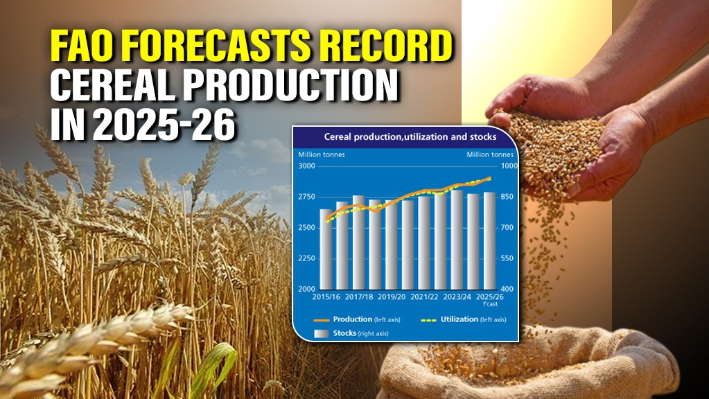 FAO Forecasts Record Cereal Production in 2025-26, Signaling Recovery After Current Year's Dip