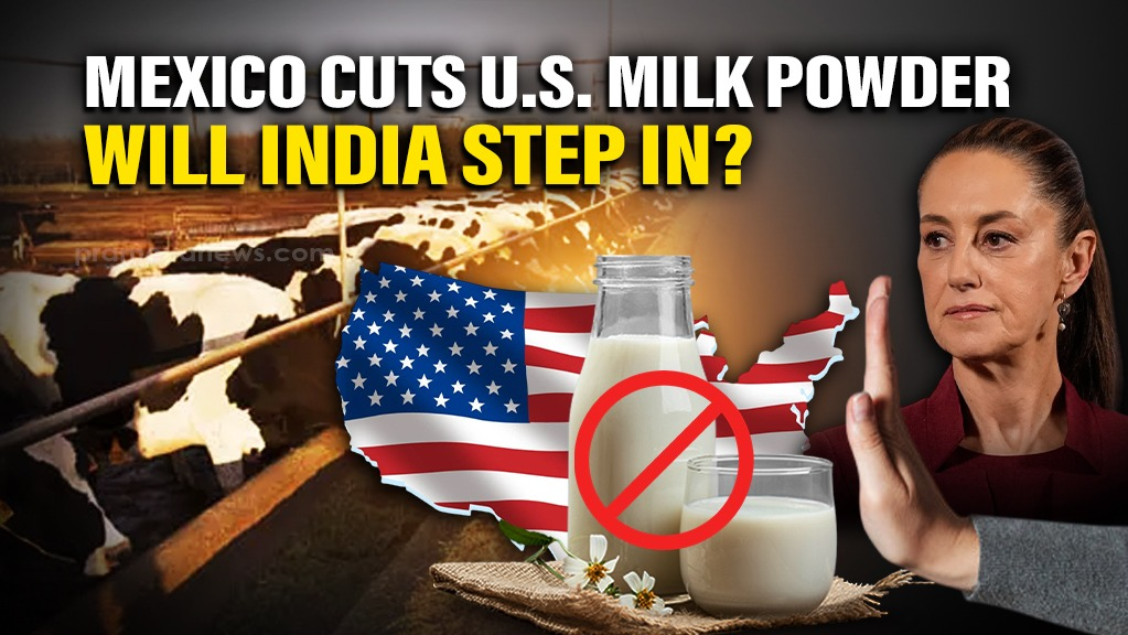 Mexico's Plan to Cut U.S. Milk Powder Imports Could Reshape Global Trade: Can it Benefit India?