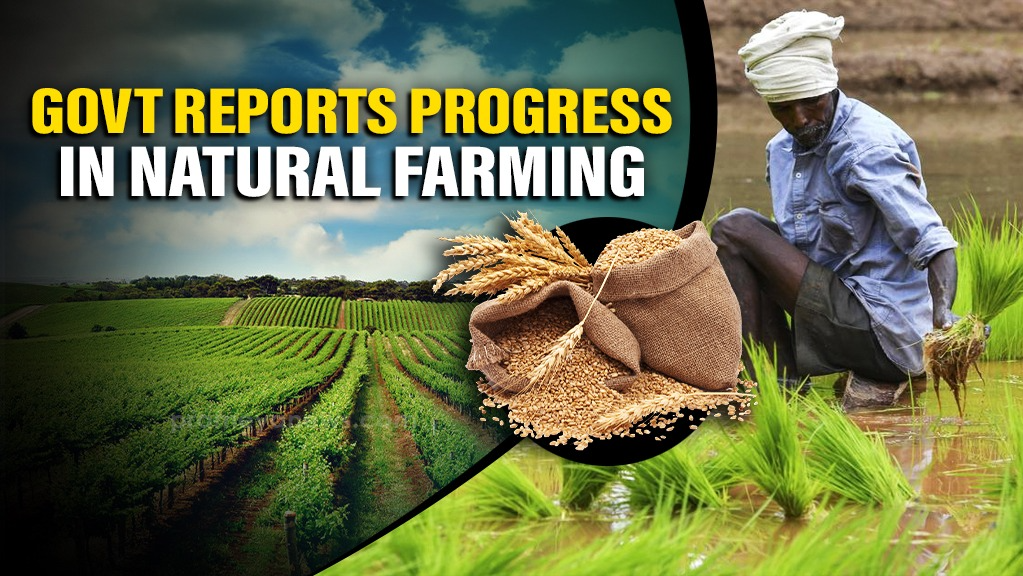 Over 10 Lakh Farmers Now Enrolled in India's National Mission on Natural Farming