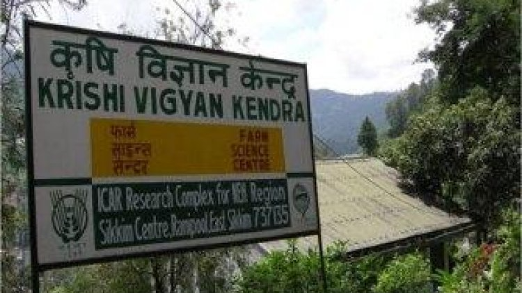India Farm Reforms Fail Farmers | Urgent Action Needed