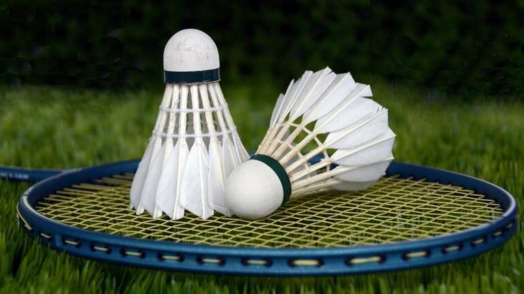 The Feather Famine: Shift in China's Diet has Created a Cost Crisis for Indian Badminton
