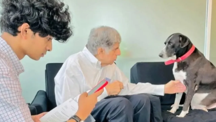 Fact Check: Goa is not gone! Ratan Tata's beloved dog is ...