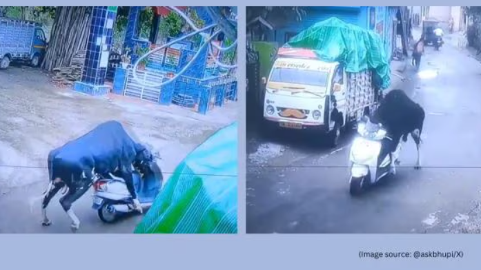 Bull Tries Riding Scooter in Rishikesh – Viral CCTV Clip