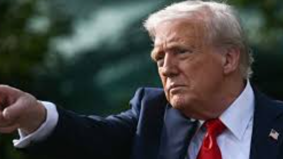 If Pakistan is 'Great,' Build Tesla Factory There": Bengaluru Doctor Challenges Trump
