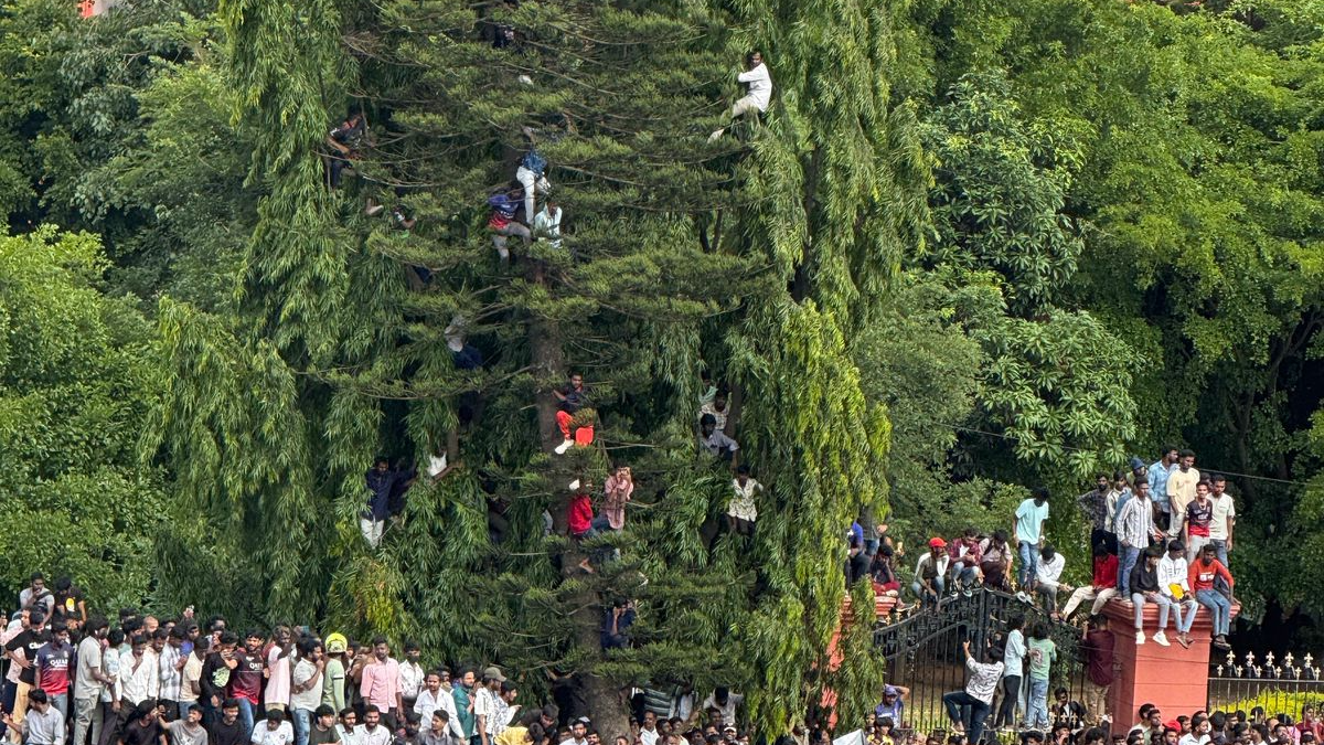 RCB Stampede: Odia consultant recounts horror- "I thought I would die from suffocation, people were climbing trees like madmen" 