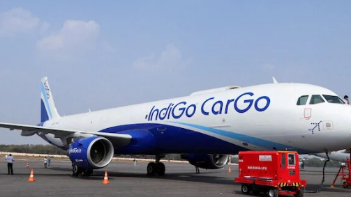 IndiGo Flight Delayed 1 Hour After Technical Snag on Indore-Bhubaneswar Route