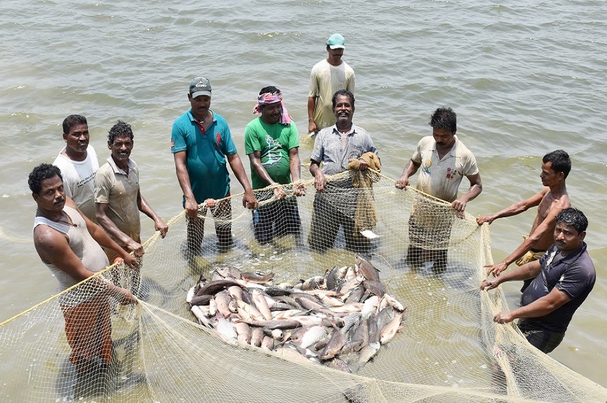 Bhubaneswar all set to host National Fish Farmers’ Day tomorrow; Three Central Ministers to attend 