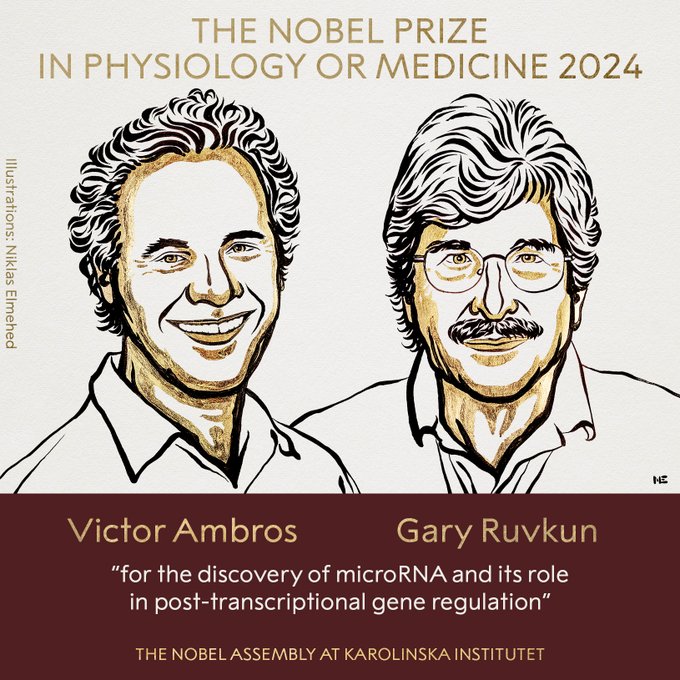Nobel Prize in Medicine awarded to Victor Ambros, Gary Ruvkun