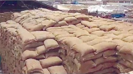 Odisha govt to seal borders during paddy procurement