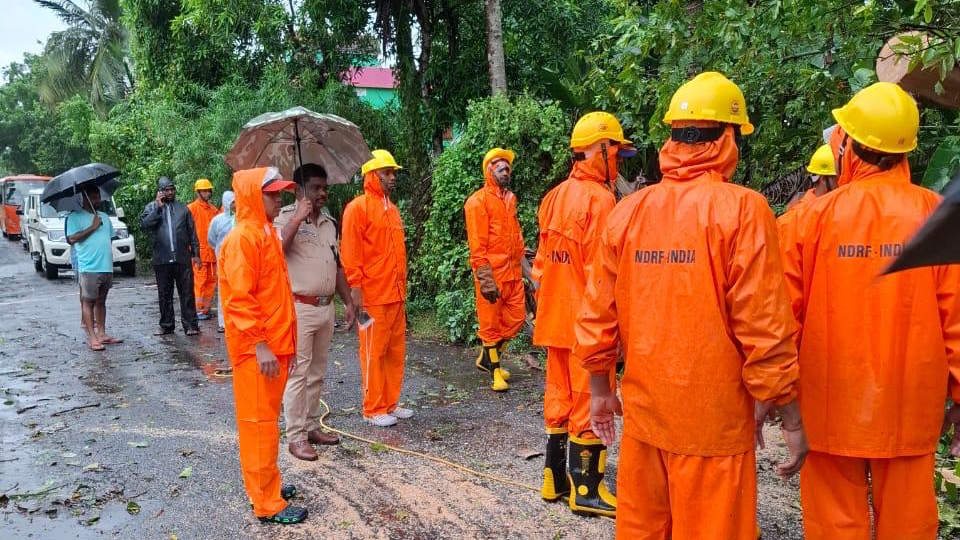 Cyclone Dana aftermath: Odisha on track for 90% power restoration by tonight 