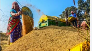 Unseasonal rainfall: Odisha govt assures full paddy procurement