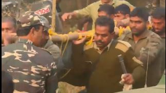 Tigress Zeenat tranquilized in West Bengal after straying from Odisha's Simlipal forest