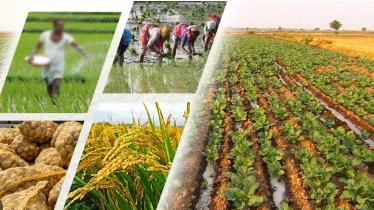 Krushi Odisha 2025 to start from tomorrow