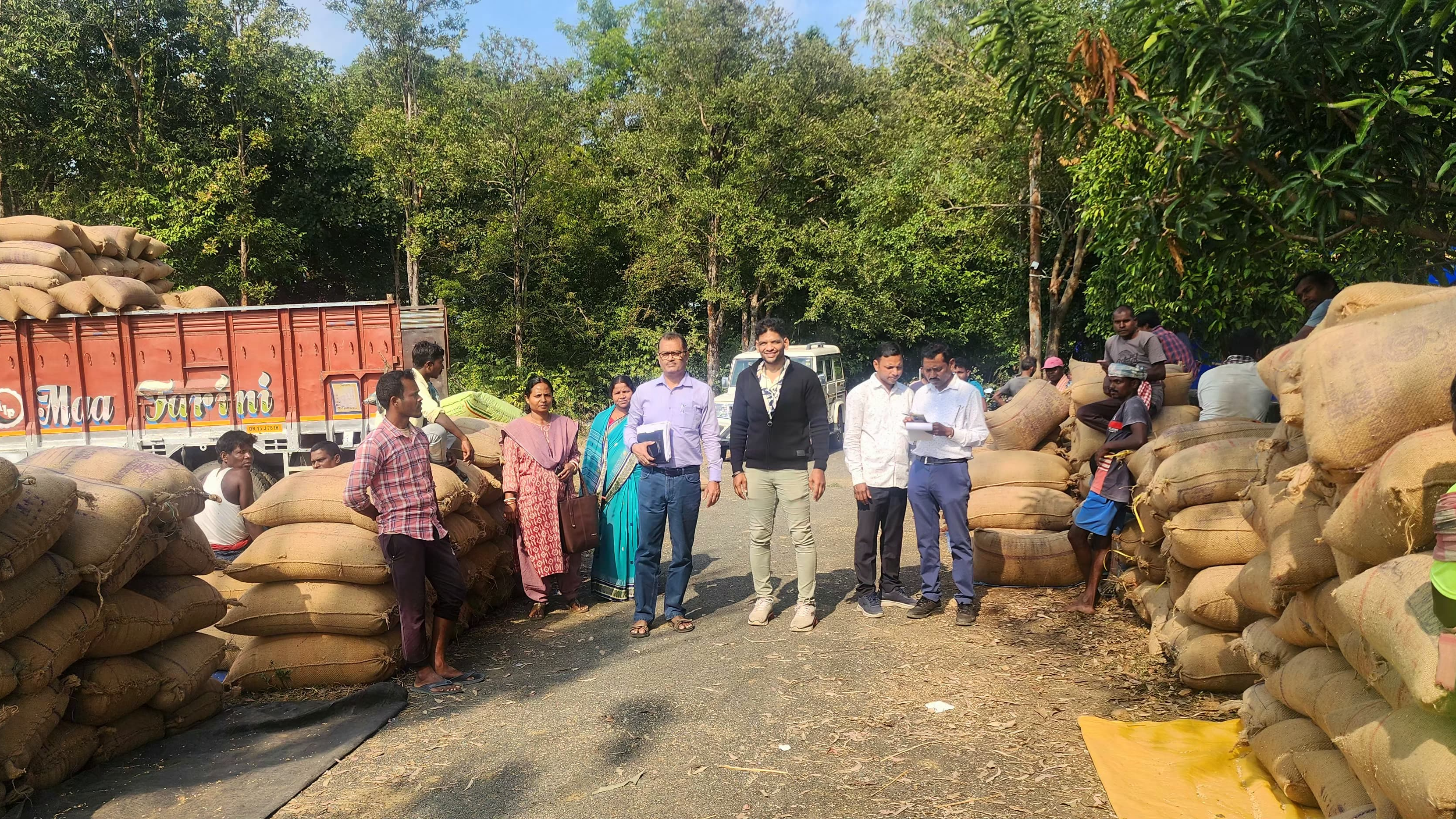 Odisha govt accelerates paddy procurement 