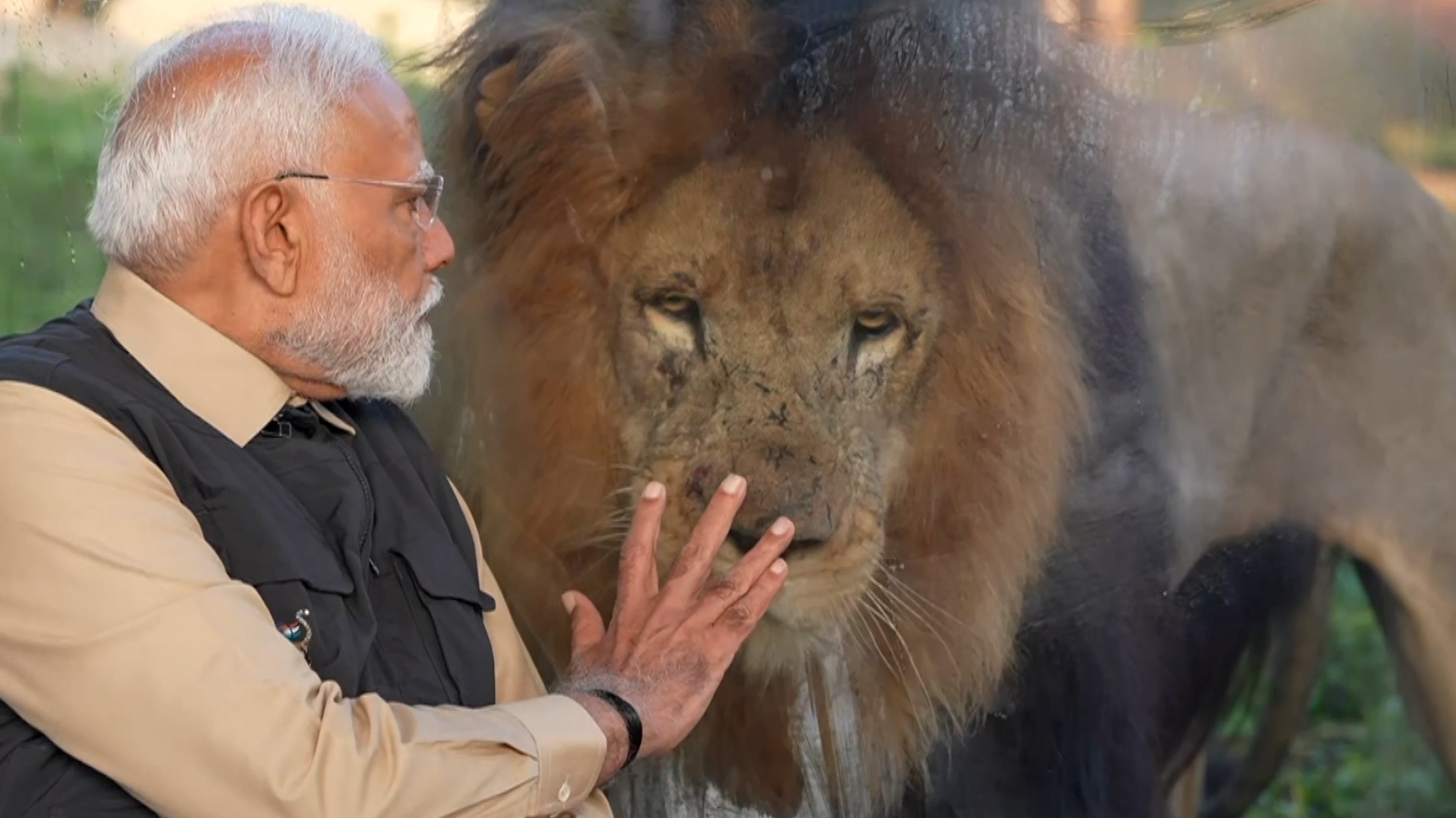 PM Modi inaugurates wildlife centre at Vantara in Gujarat