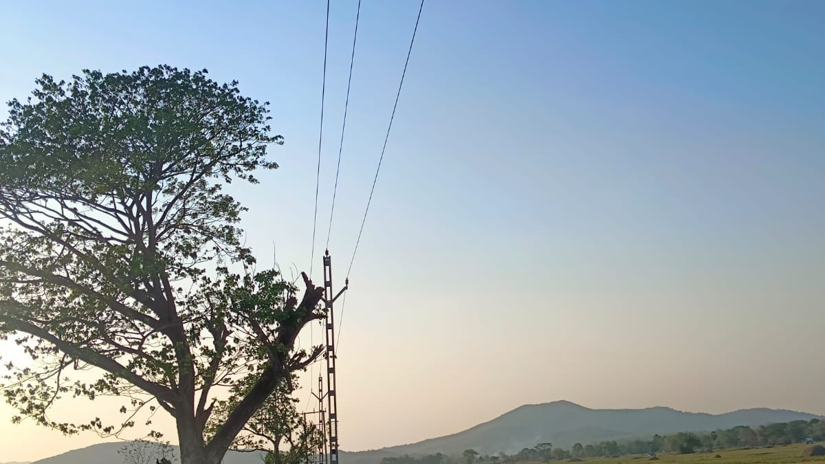 TPSODL Commissions 33KV Line, Benefits 34,000 Consumers in Ganjam