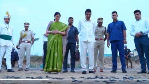 Odisha Governor witnesses spectacular hatching of Olive Ridley Turtles in Ganjam