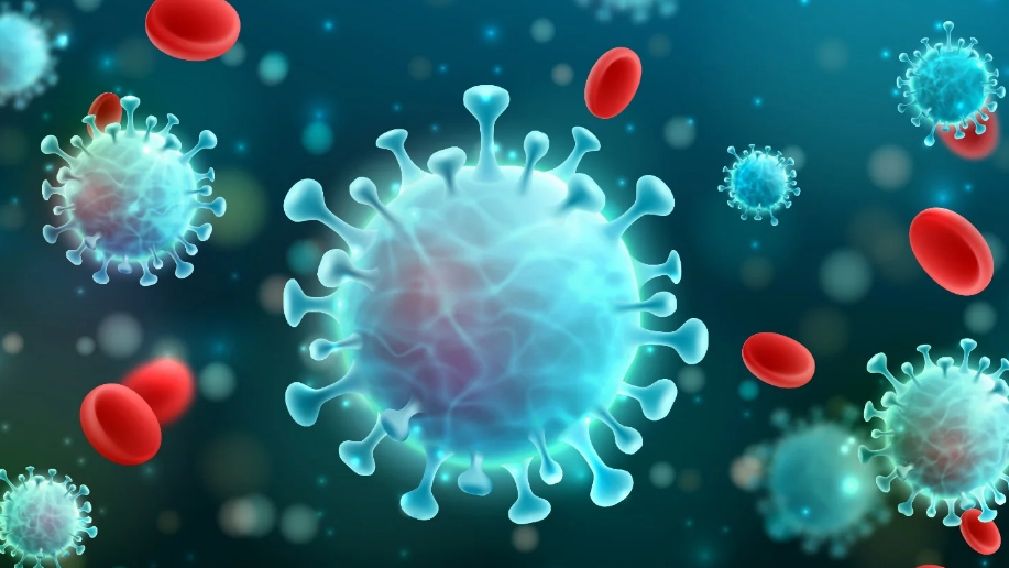 No new COVID-19 cases in Odisha; Health department on alert 