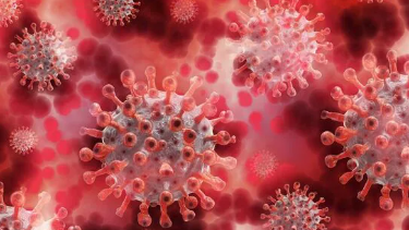 COVID-19 situation well under control: Odisha Health Secretary