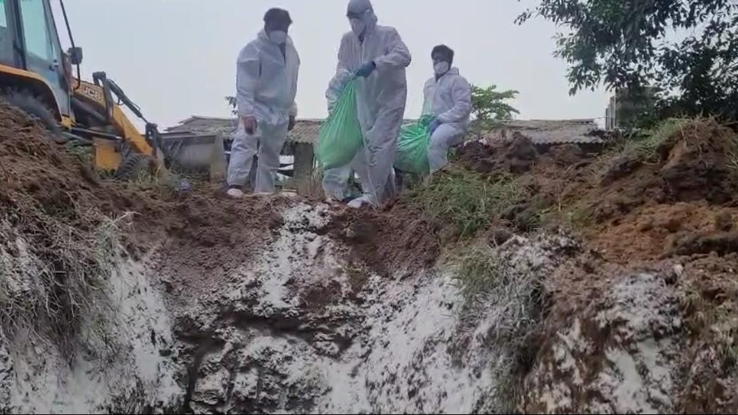 Bird flu outbreak in Odisha's Puri district, Minister reviews situation