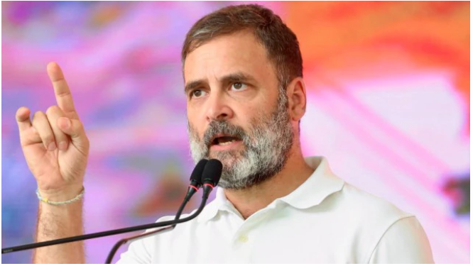 Not problems to be erased: Rahul Gandhi on SC’s stray dog order