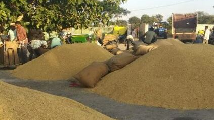 Odisha Cabinet approves 38 “Model Mandis”
