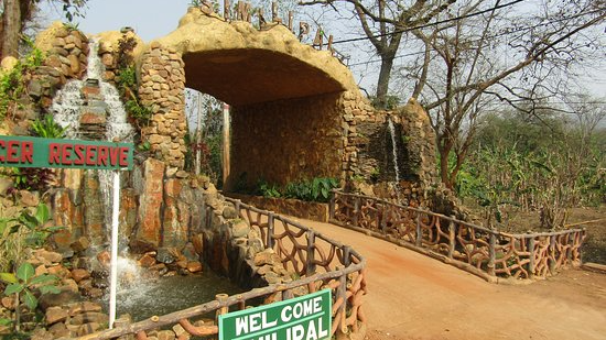 Similipal National Park reopens for tourists today; Plan your trip for Durga Puja Holiday