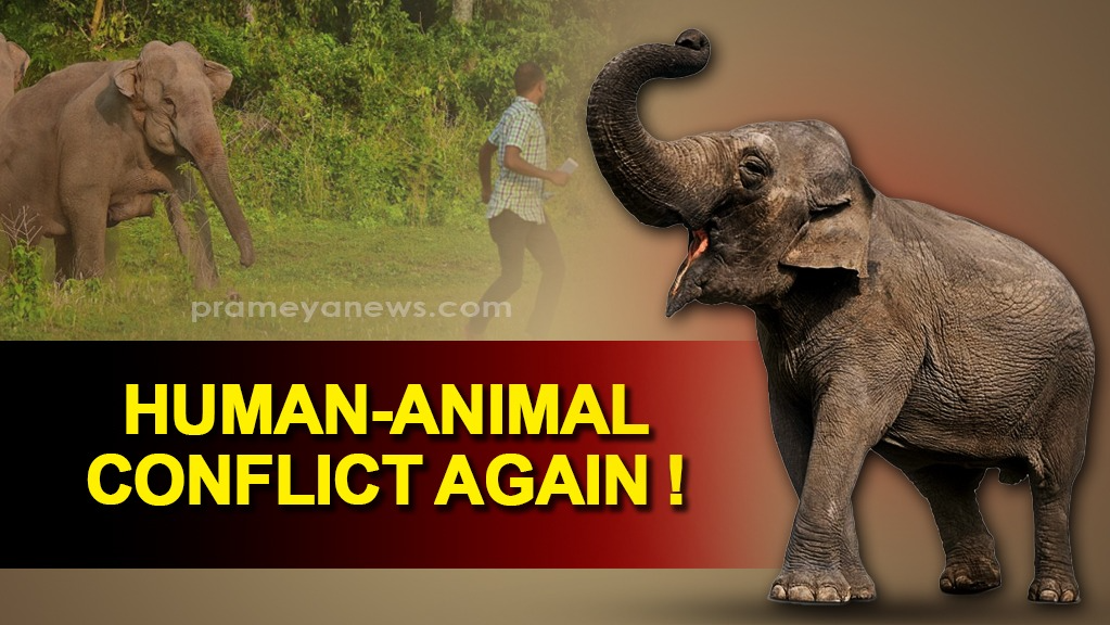 Human-Animal Encounter: Rogue Elephant Tramples Forest Officer to Death in Keonjhar
