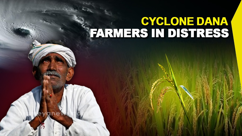 Cyclone Dana: Farmers on edge as Cyclone threatens to devastate crops