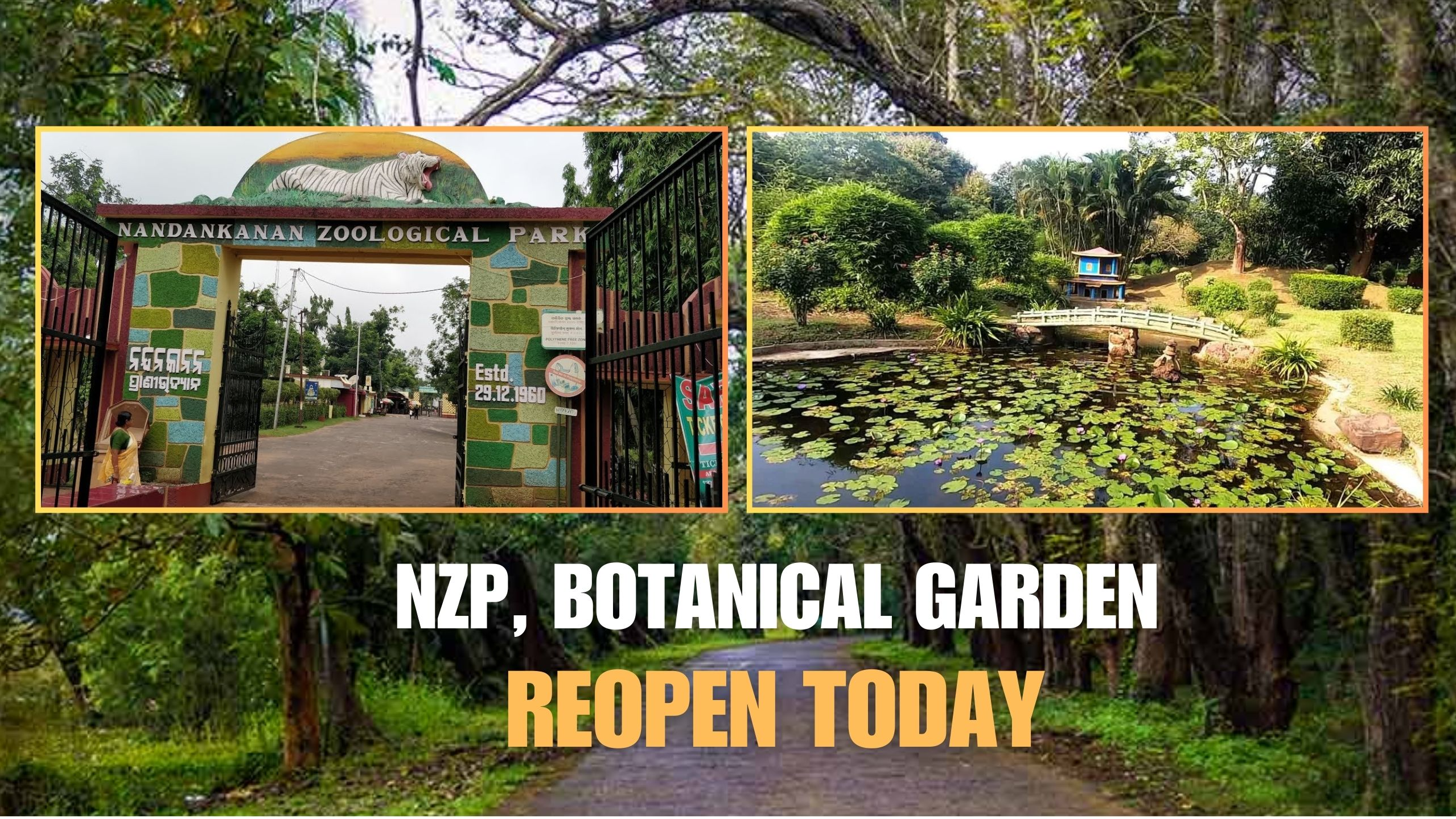 Bhubaneswar’s Nandankanan Zoological Park & State Botanical Garden reopen post Cyclone ‘Dana’
