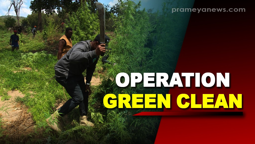 Boudh Police Destroys Illegal Ganja Crops in Operation Green Clean